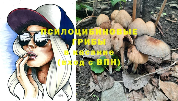 меф Новодвинск