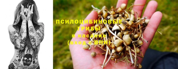 меф Новодвинск